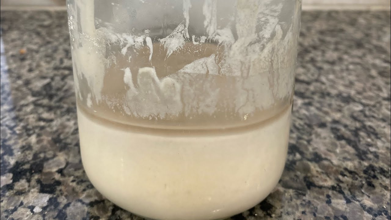 Resurrecting Your Neglected Sourdough Starter