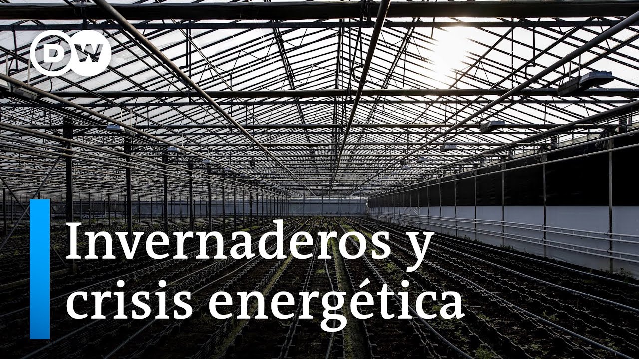Alimentos producidos en invernadero: entre cerrar o cambiar