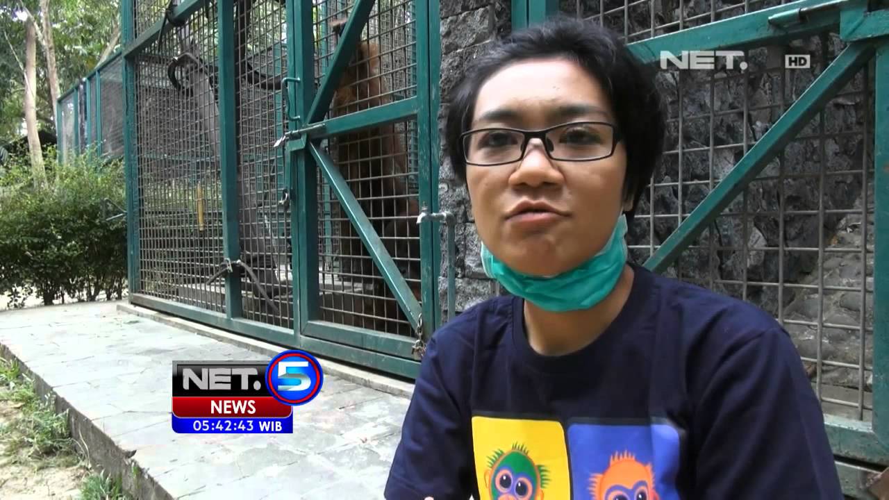 NET5 - Surga kecil bagi satwa langka