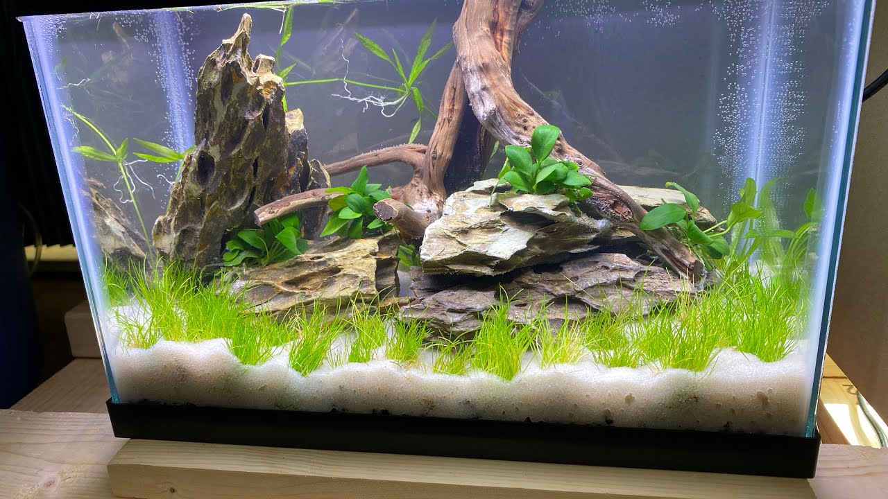 2.5 Gallon Nano Desktop Aquarium