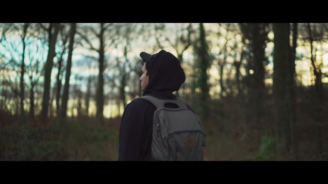 Forest | Cinematic B Roll | 2020