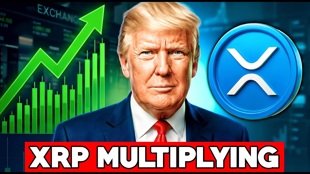 XRP NEWS TODAY: XRP Market Cap Multiplier Confirmed? Trump Ends Crypto Crackdown
