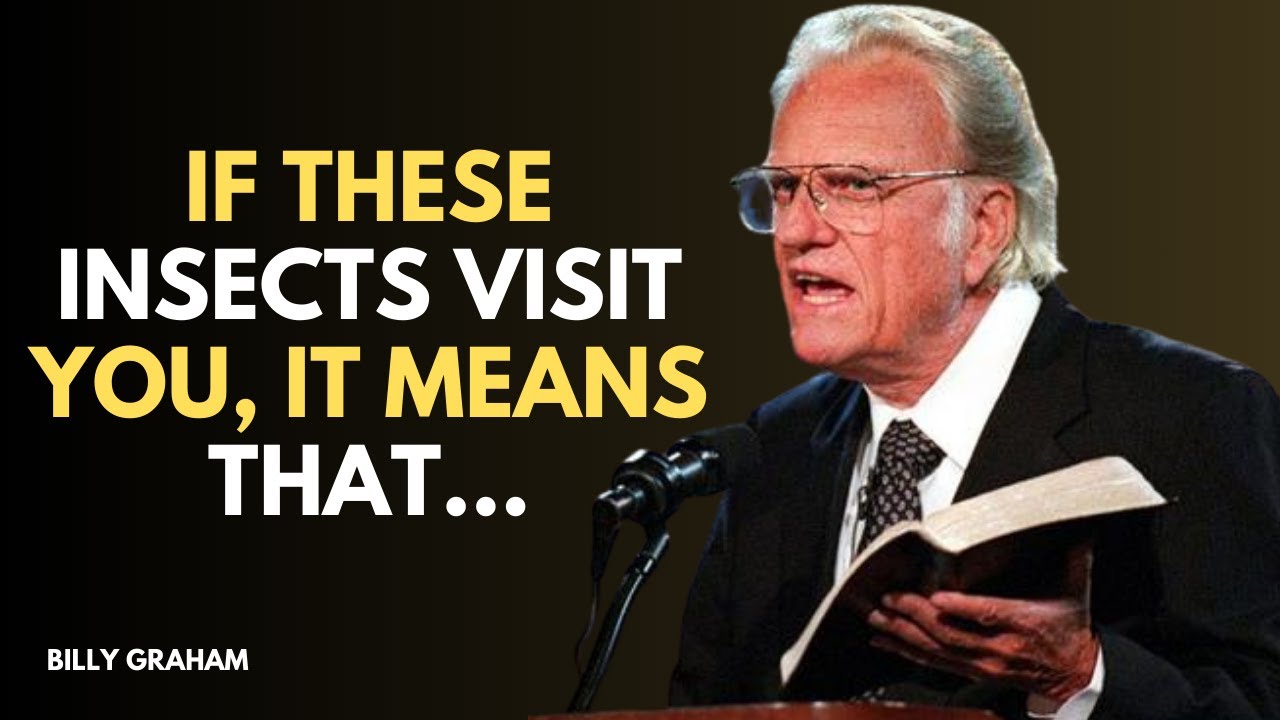 The Spiritual Meaning of Insects in Your House &ndash; Don&rsquo;t Ignore These Signs! - Billy Graham