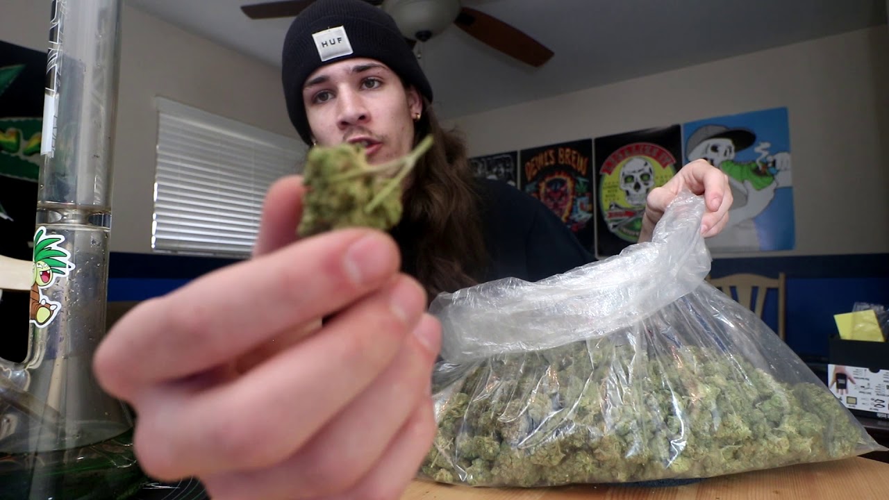 PACK PICKUP #1