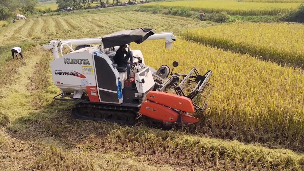 Kubota DC68G combine harvester I Multi crop harvester I Mini harvester