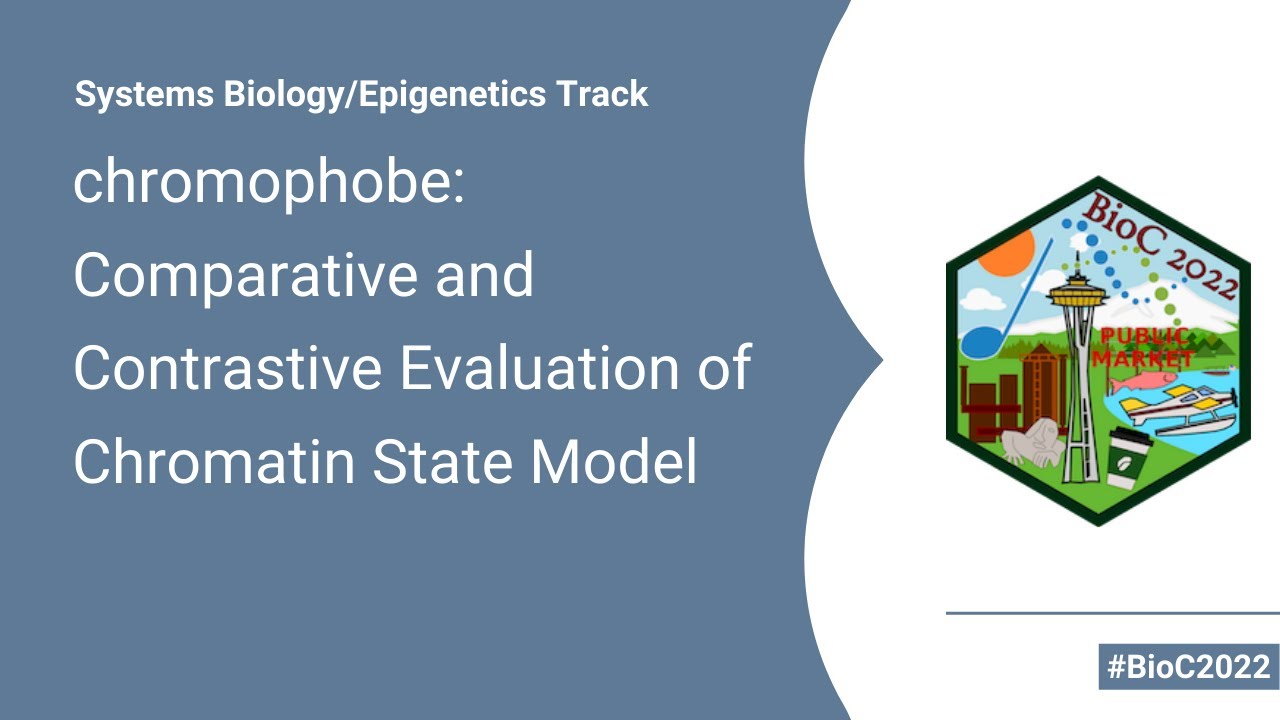 Chromophobe: A Framework For Comparative And Contrastive Evaluation Of Chromatin State Models