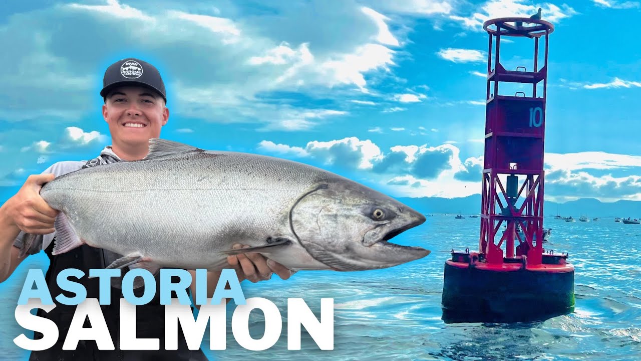 Limits Of CHINOOK And COHO Salmon At BUOY 10 | 22lber landed 