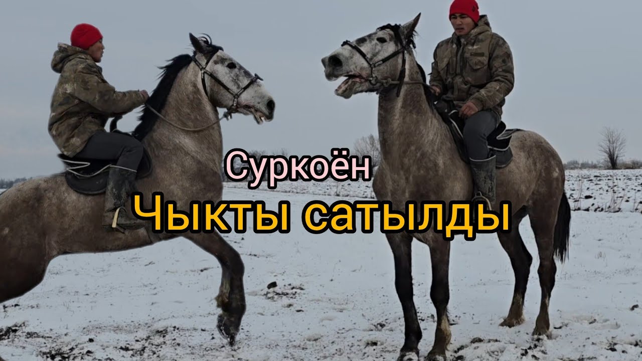 Чыкты сатылды