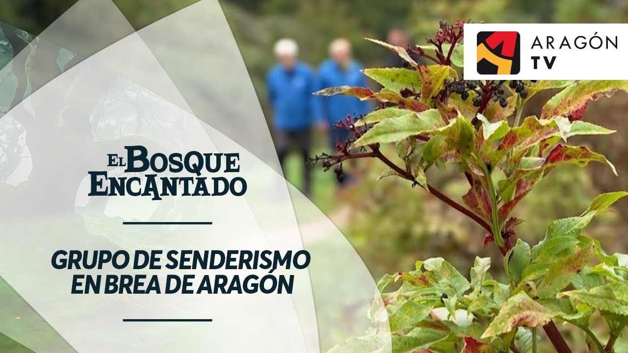 El grupo de senderismo de Brea de Aragón saca provecho al camino en cualquier estación.