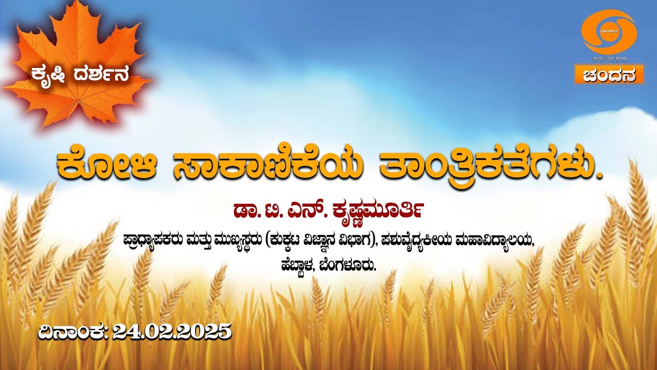 Krishi Darshana | Poultry farming techniques | ಕೋಳಿ ಸಾಕಾಣಿಕೆಯ ತಾಂತ್ರಿಕತೆಗಳು |24.2.25|6pm|DD Chandana