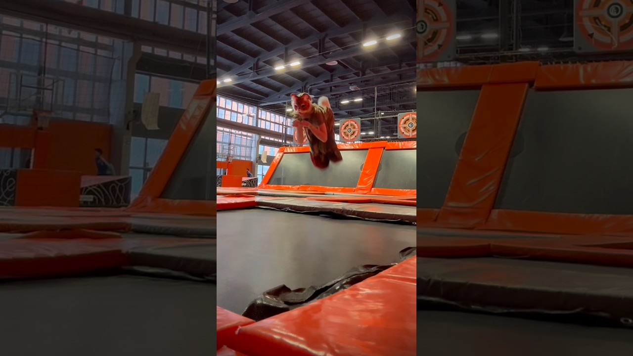 MY HIGHEST JUMP EVER ;3 #quadrobics #therian #therianthropy