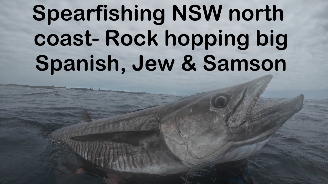 Spearfishing NSW North Coast Rock Hopping big Spanish Jew and Samson