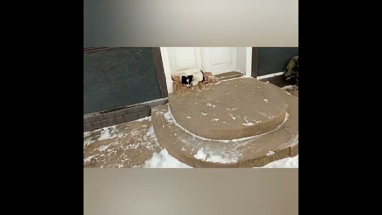 Відповіді на Ваші запитання.  КІВІ.
