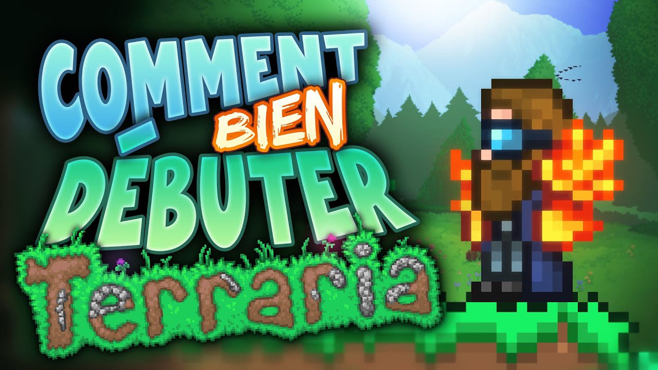 Le Guide du D&eacute;butant pour Terraria !