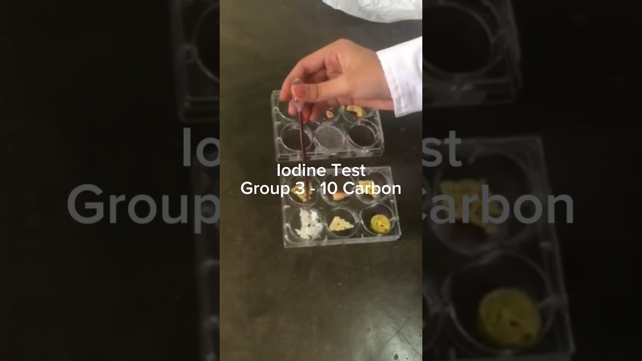Iodine Test for Presence of Starch #iodinetest #grade10science #chemistry