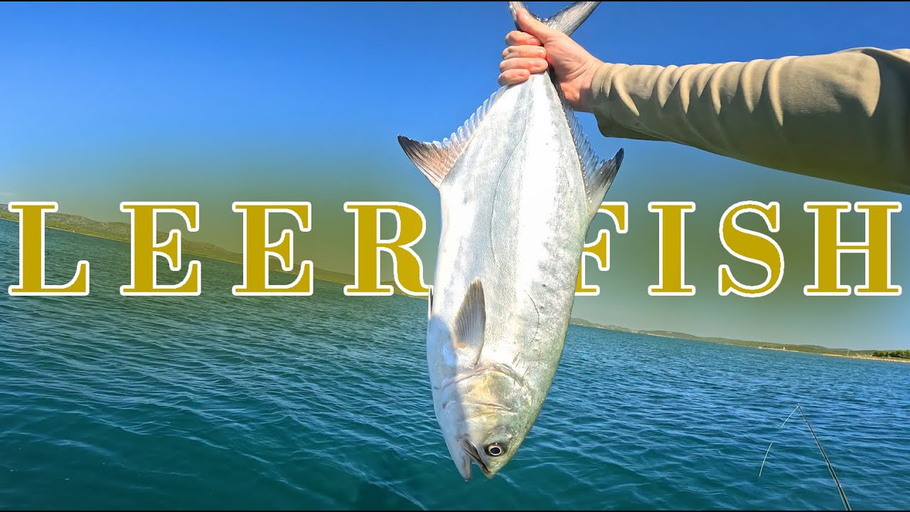 Topwater Spinning for Bluefish, Leerfish, Pompano and more in Croatia pt.2 (Ribolov Lice & Strelke)