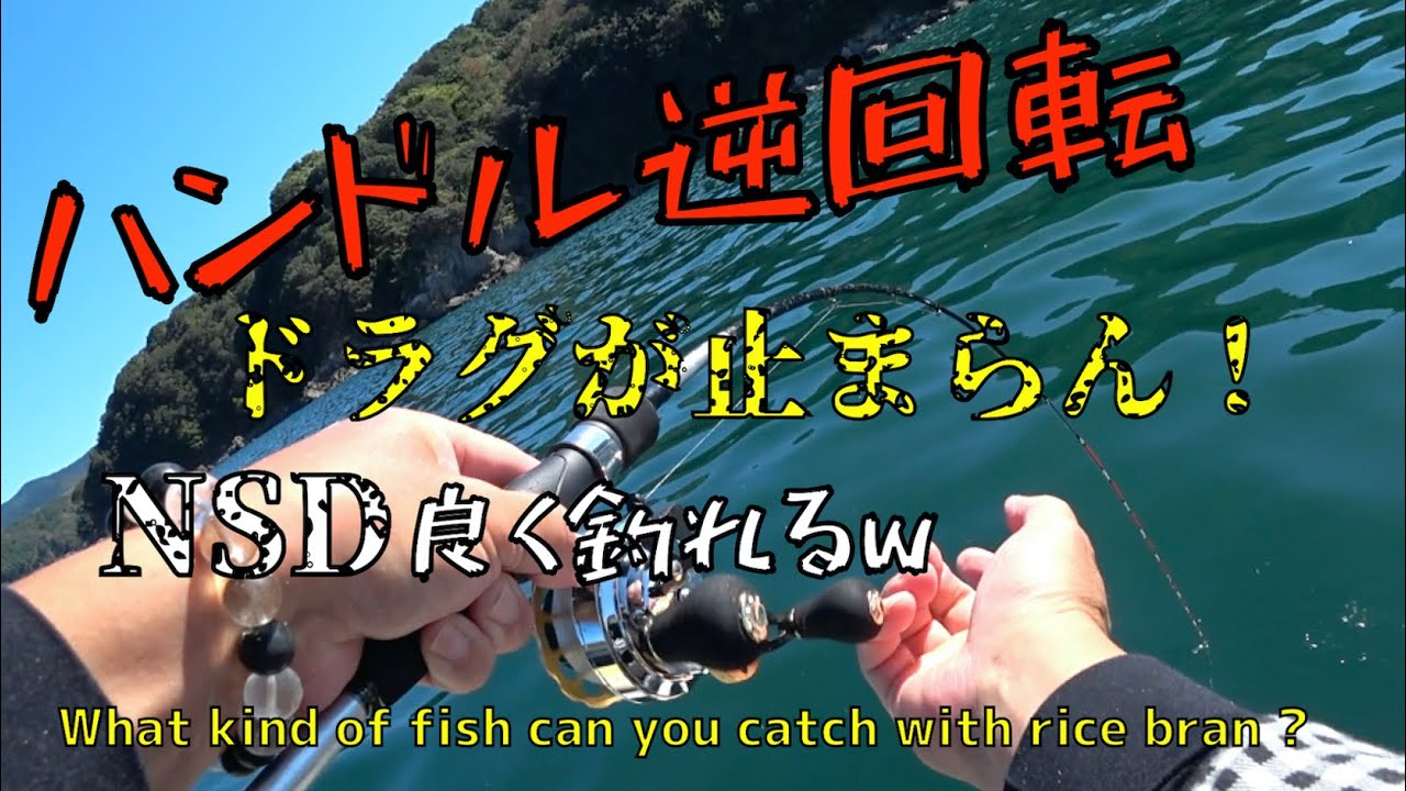 【ダンゴ釣り後編】ヌカと砂だけ『NSD』ダンゴでドラグ出まくりw