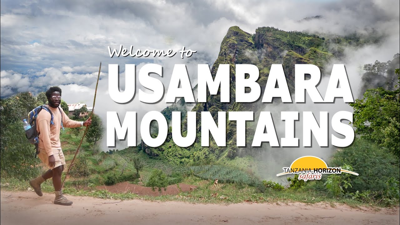 Hiking at the Usambara Mountains with Tanzania Horizon Safaris