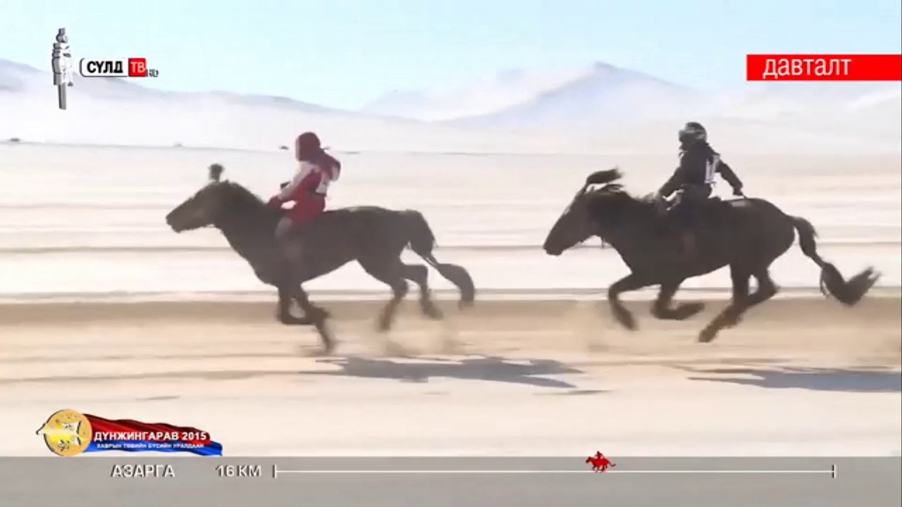 Дүнжингарав-2015 Азарганы уралдаан