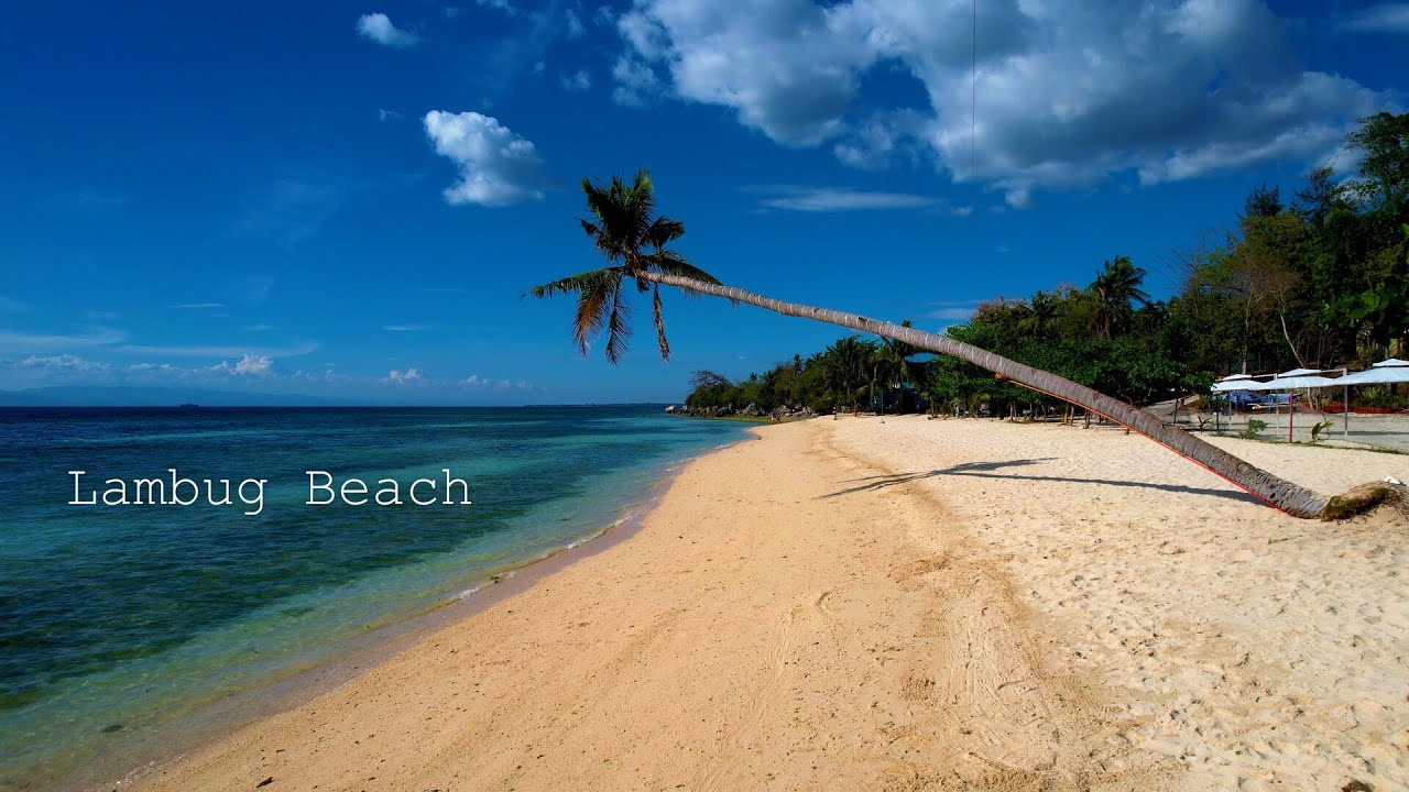Lambug Beach, Cebu, Philippines 2024 - Tropical house dreamy music landscape travel 4K drone video