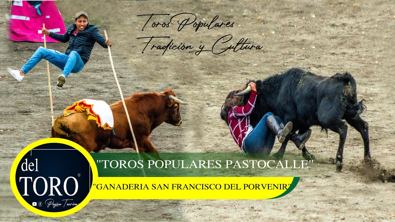 TOROS POPULARES | 
