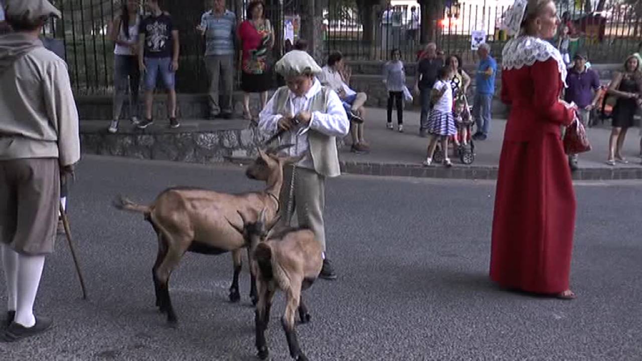Festa della bandiera Morano Calabro