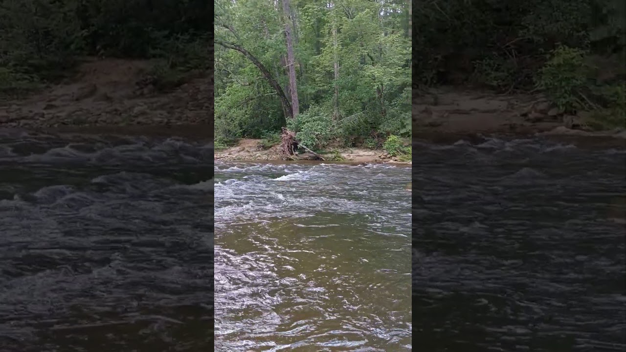 chattooga river at Burrells Ford bridge