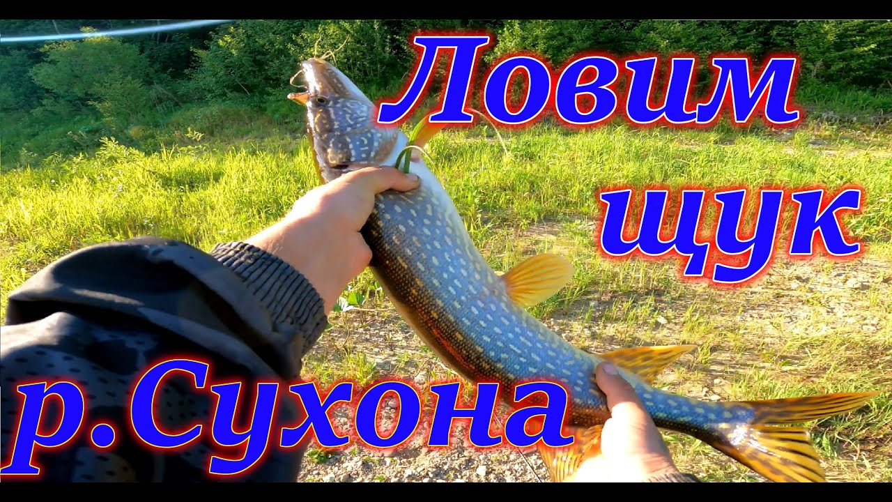 Ловля щуки на спиннинг на реке Сухона...