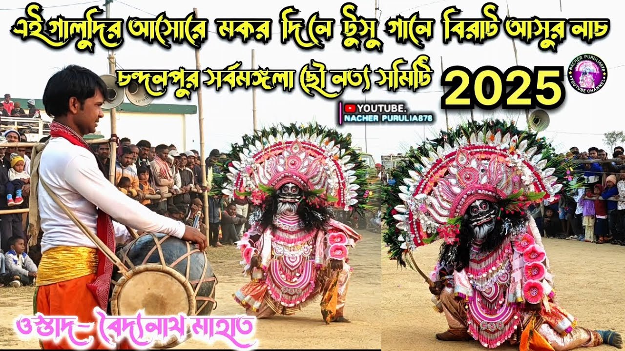 এই গালুদির আসোরে...মকর দিনে টুসু গানে বিরাট আসুর নাচ 😱🙆 ওস্তাদ -  বৈদ্যনাথ মাহাতো ছৌ নাচ 2026 💥