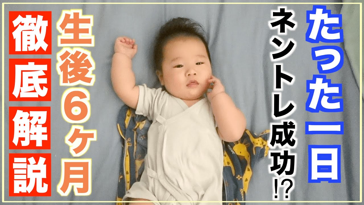 【赤ちゃん育児】生後６ヶ月、たった1日でネントレ成功した秘訣を話します