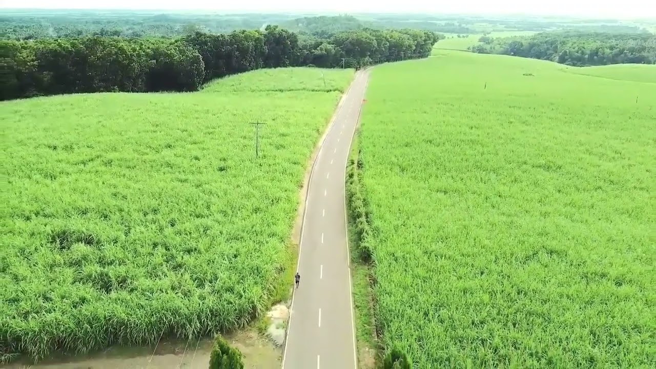 LA GRANJA, LA CARLOTA CITY