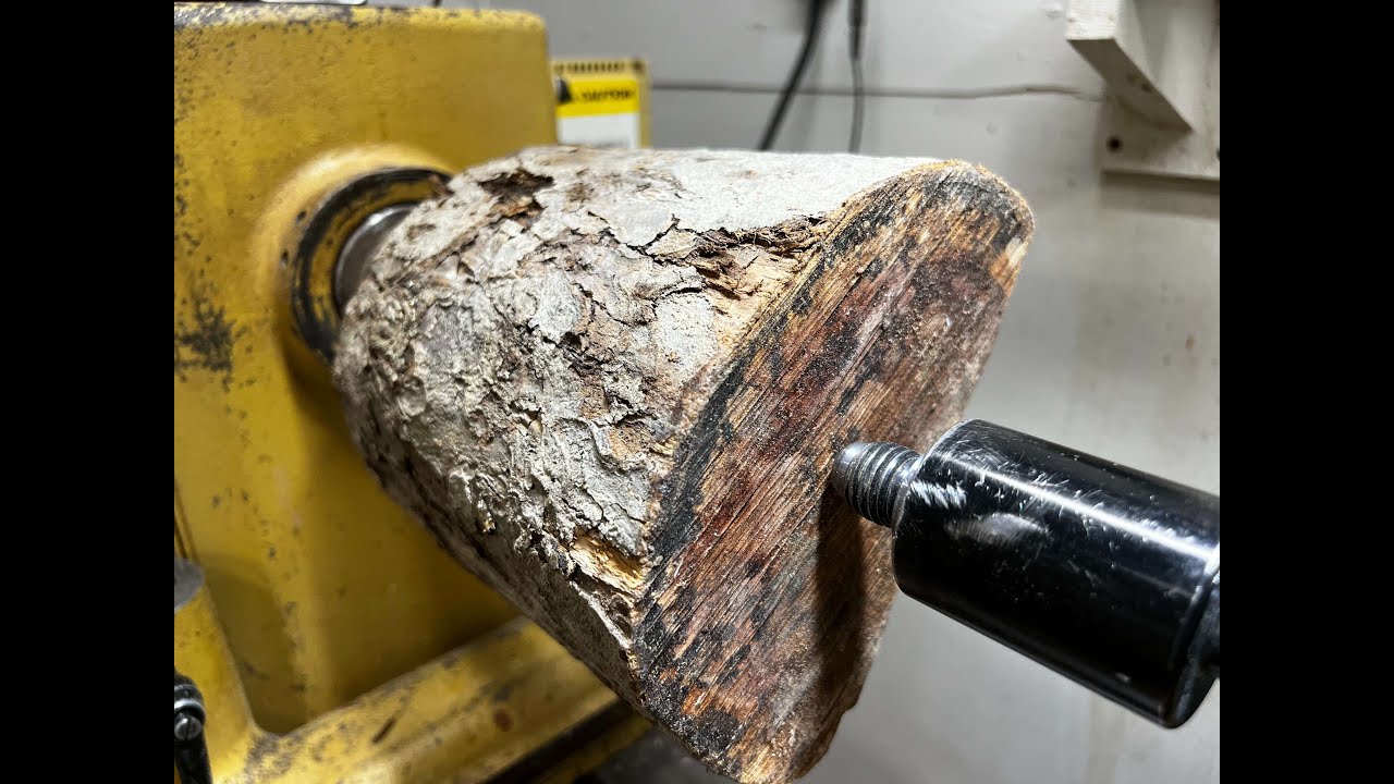 Apple Wood Transformation: From Log to Art
