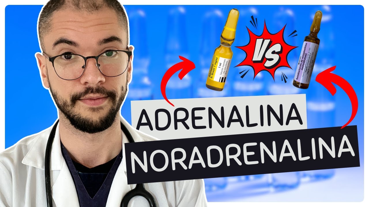 ADRENALINA x NORADRENALINA: Qual a diferença entre epinefrina e norepinefrina?