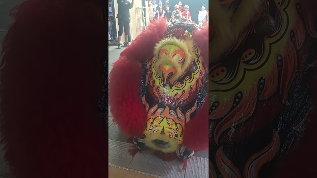 Yunyang_sg lion dance cai qing, shop opening ceremony 31-1-2026