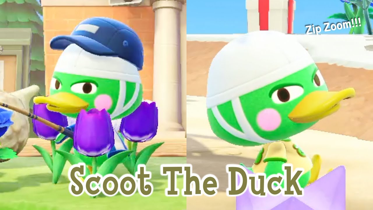 Scoot The Duck Jock Villager Animal Crossing New Horizons ACNH