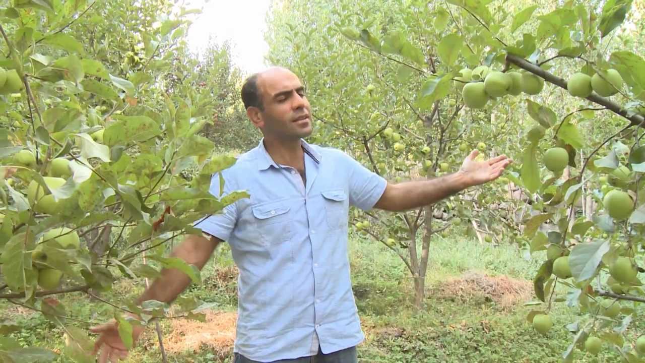 Altunhisar Türküsü - Gürhan Ötün (Niğde)
