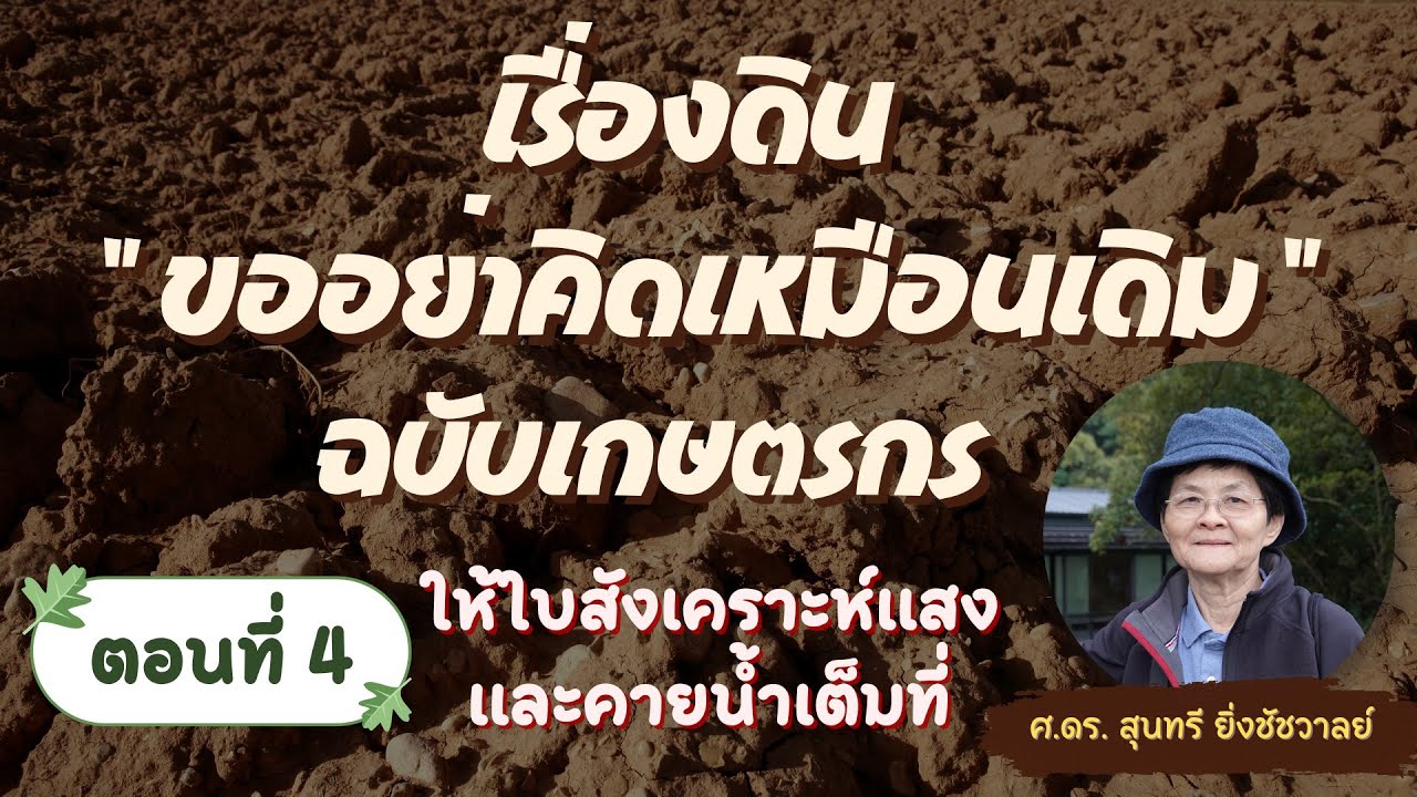 เรื่องดิน 