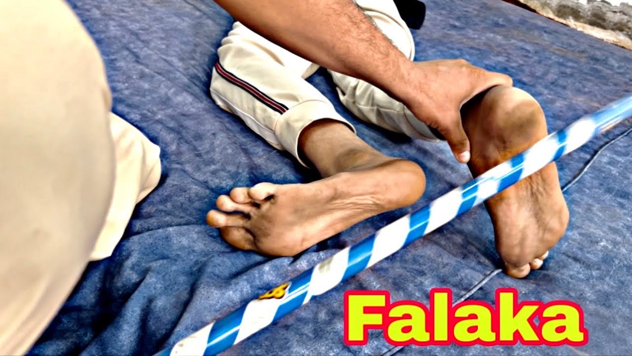 ASMR : FALAKA 