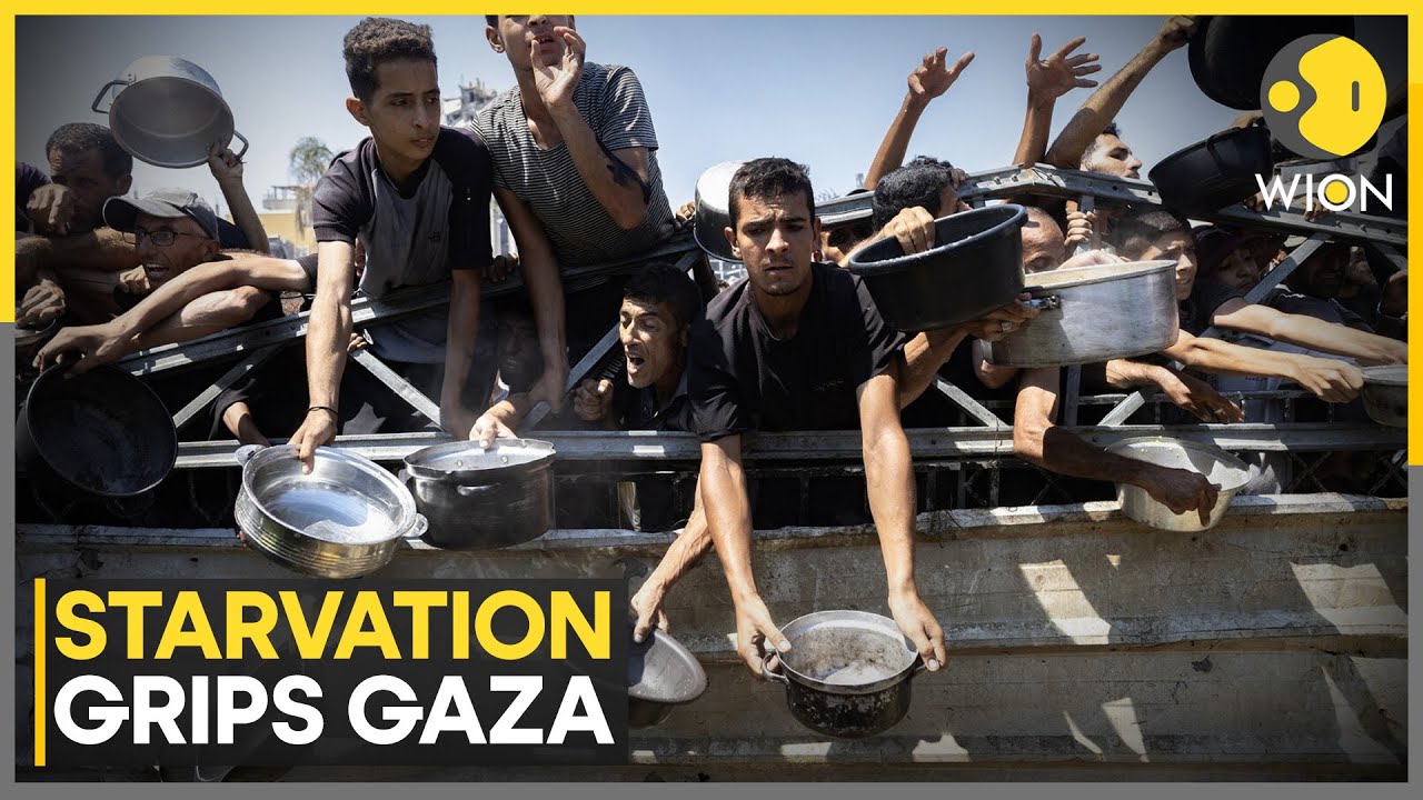 UN Says Gaza Faces Severe Aid Shortages, Starvation Deaths Rise to 217 | WION