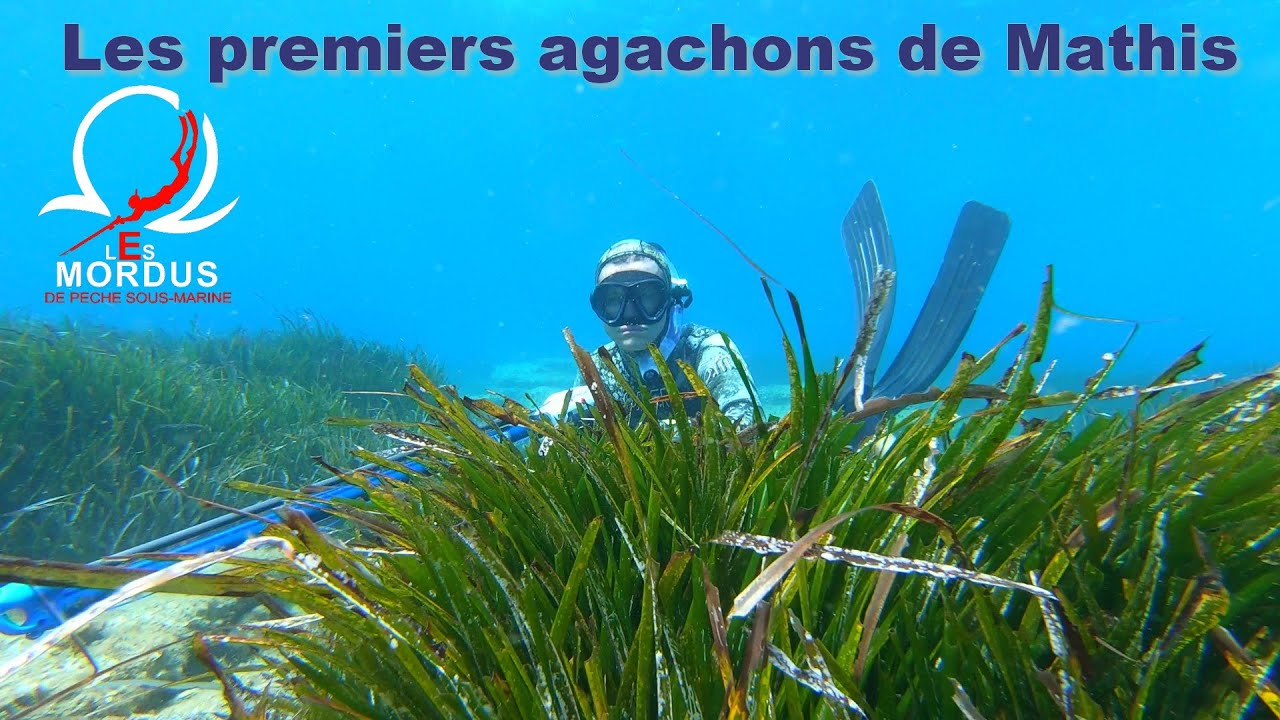 Chasse sous-marine avec Mathis les 1er et 6 Aout st Cyr. Spearfishing. PescaSub.