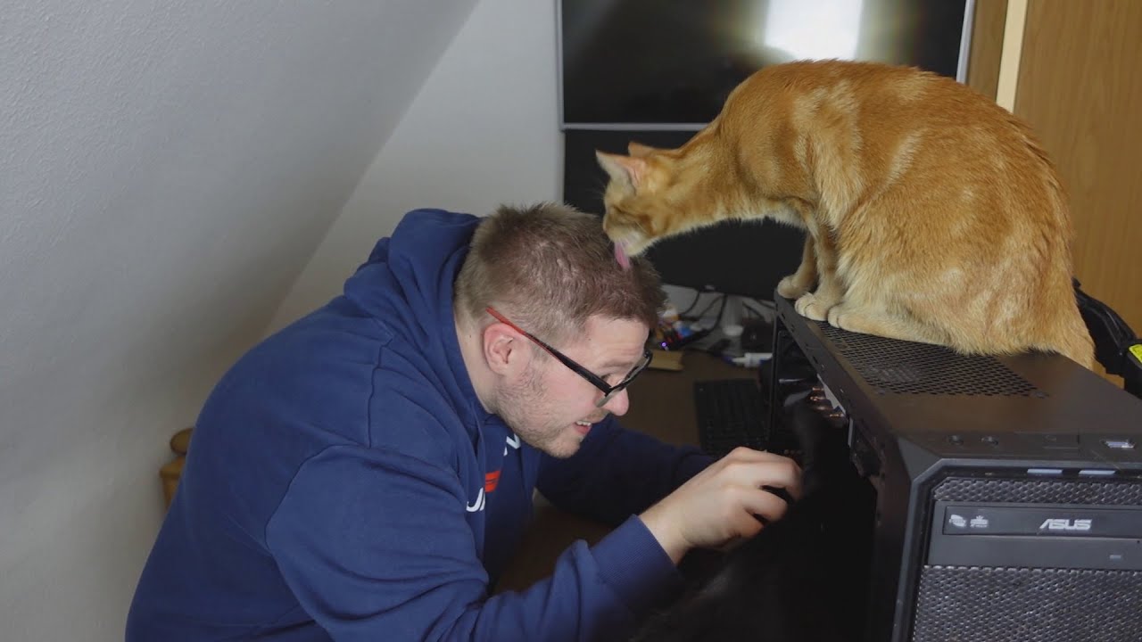 Defekten PC für 40€ gekauft    Fehler finden