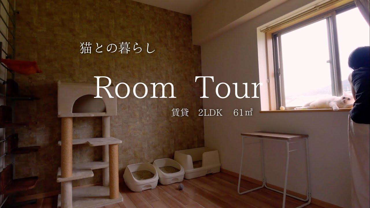 【猫との暮らし vlog】ルームツアー　賃貸2LDK   61㎡ / 夫婦2人と猫２匹 / シンプルな猫部屋の公開