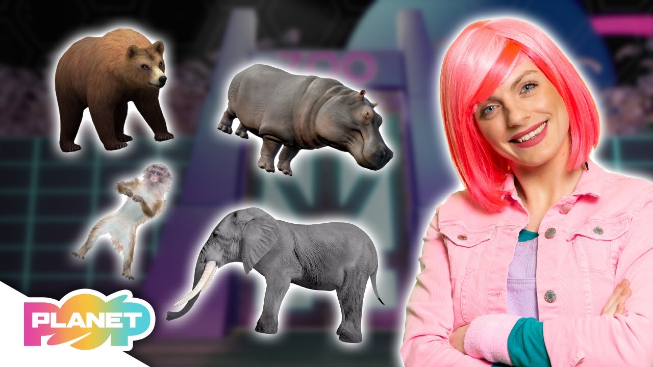 Looking At The Animals Song 🐘🐒 | ESL Songs | English For Kids | Planet Pop | Learn English