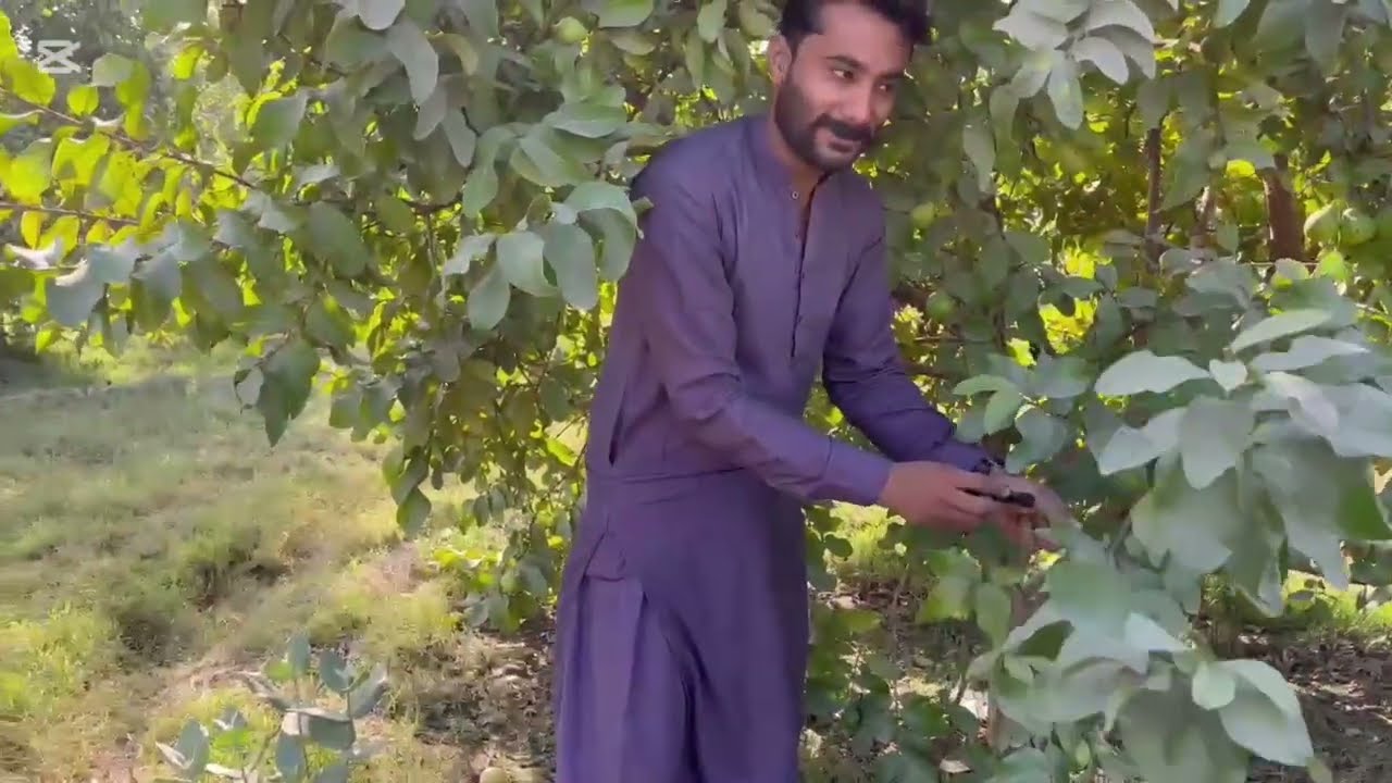 My first ASMR video in gawa farm.