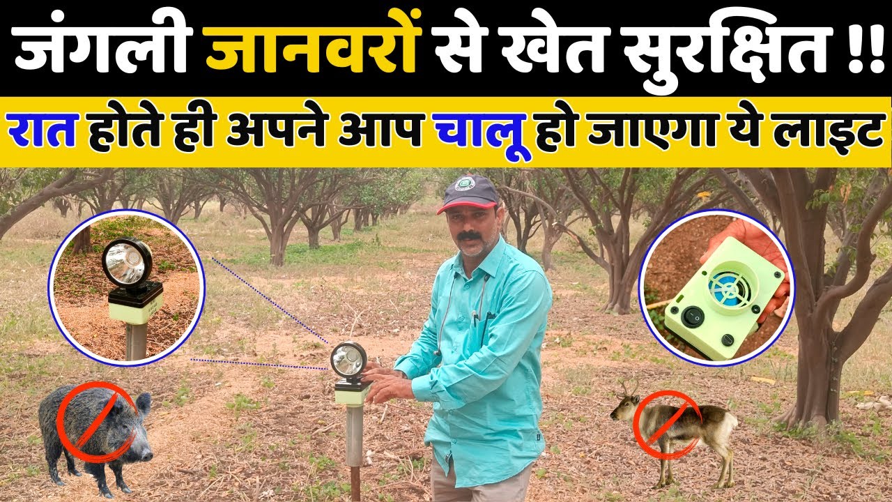अब खेत में सुअरो और नील गाय के आतंक से होगा छुटकारा ! | Mini Rader Light | ALL Agriculture