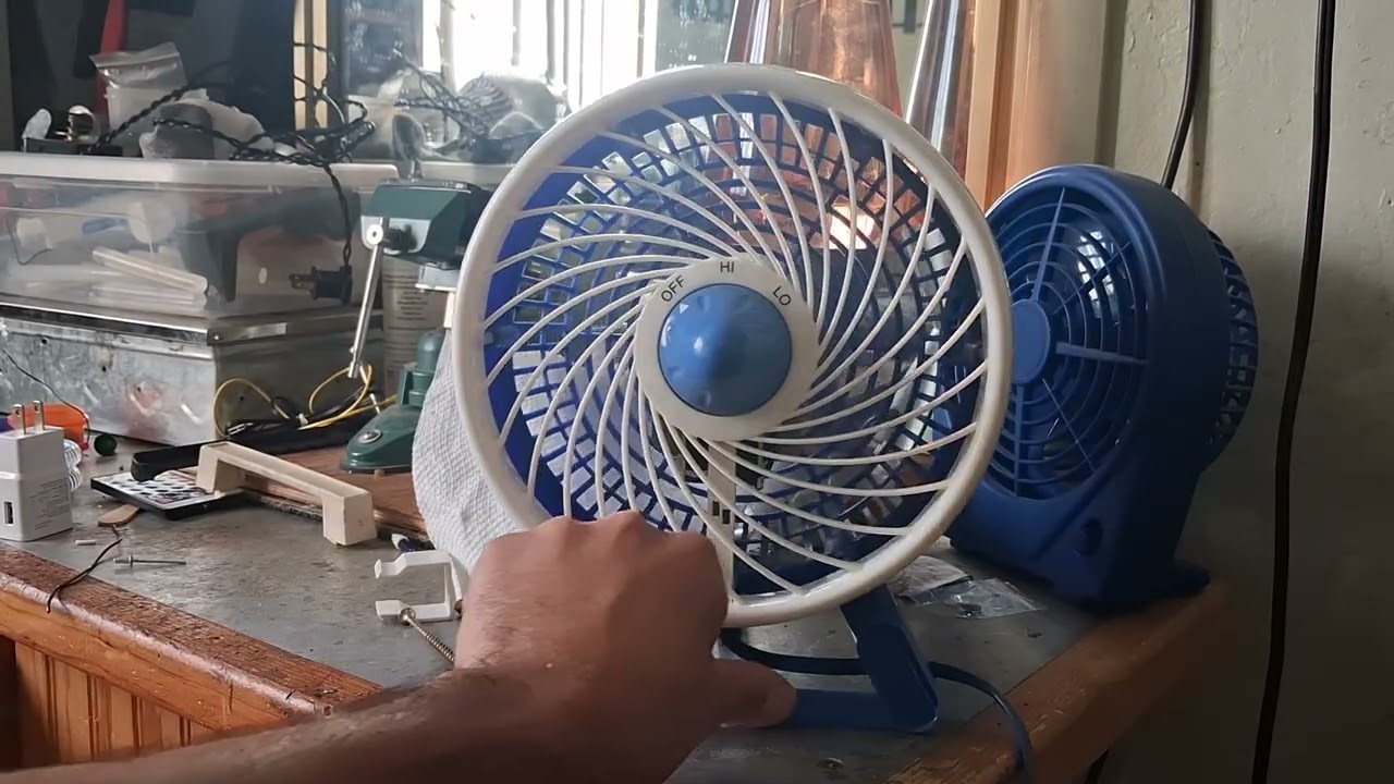 Some Of My Videos From January 