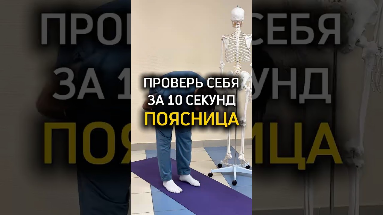 Проверь себя за 10 секунд поясница