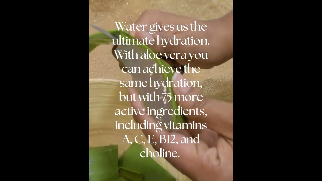 Fresh Aloe Vera Leaf - Hydrating Hair Treatment 🪴