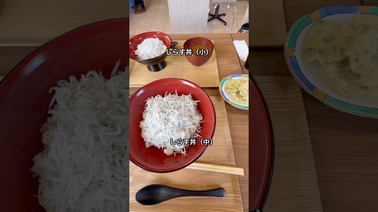 しらす丼食べに伊良湖へ