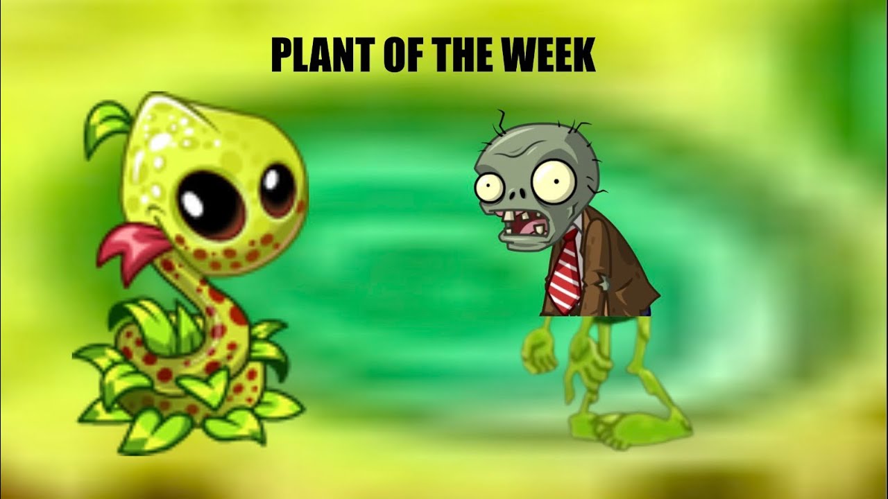 2026 Plant of the Week: Znake Lily